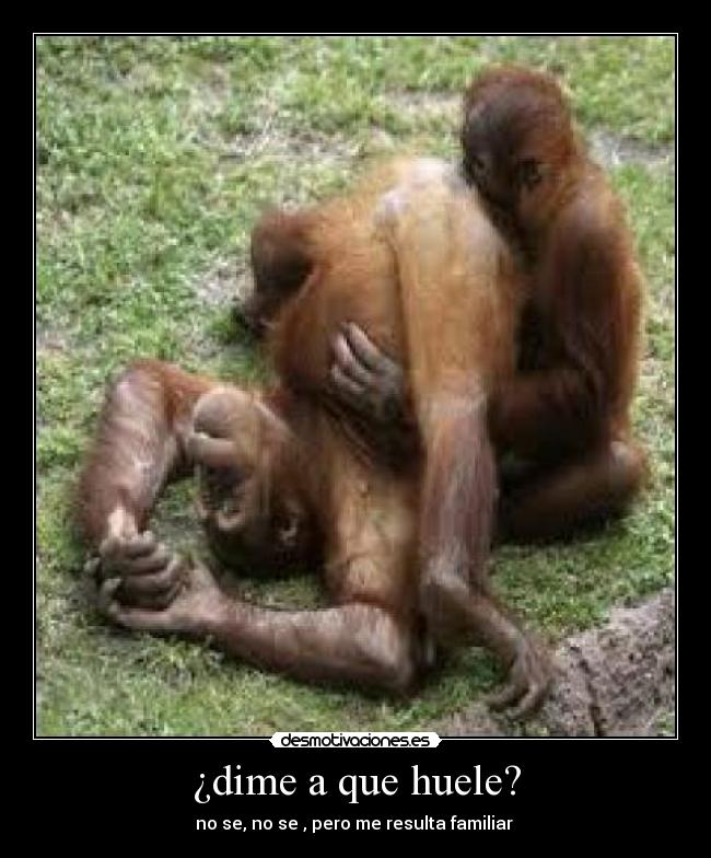 ¿dime a que huele? -