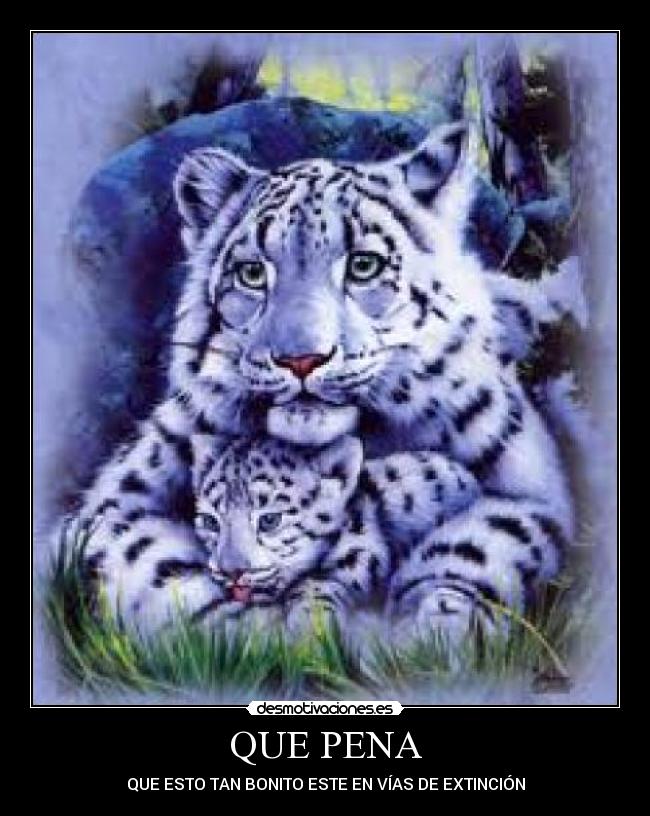 carteles madri desmotivaciones