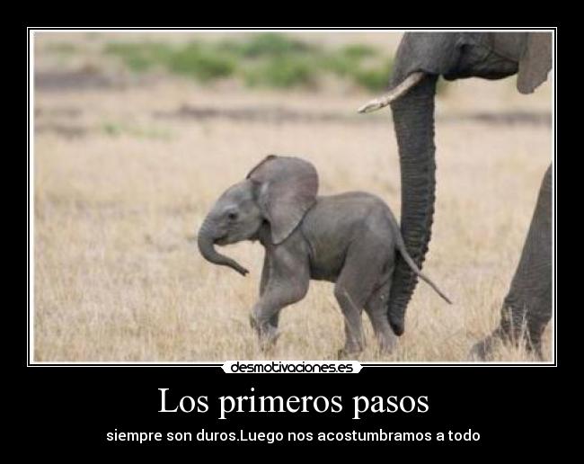 carteles primeros pasos desmotivaciones