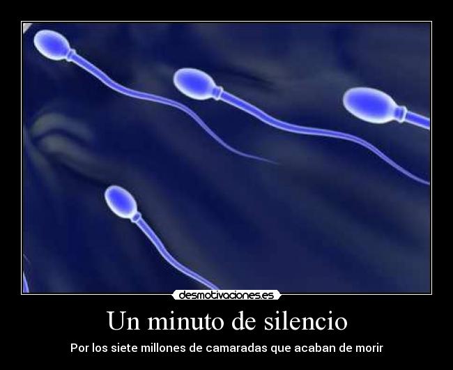 Un minuto de silencio - Por los siete millones de camaradas que acaban de morir