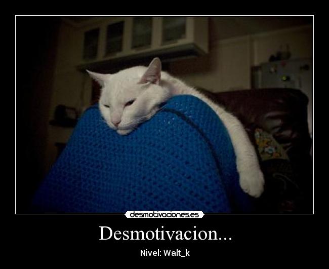 Desmotivacion... - Nivel: Walt_k