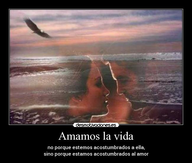 carteles vida amar vida acostumbrar amor desmotivaciones