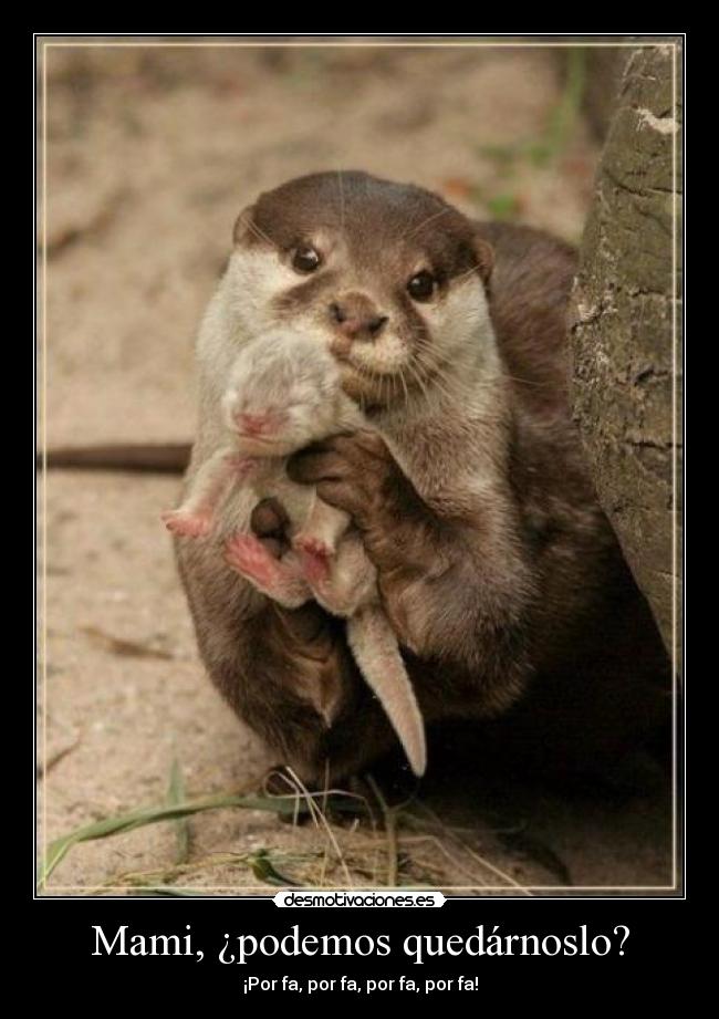 Mami, ¿podemos quedárnoslo? - ¡Por fa, por fa, por fa, por fa!