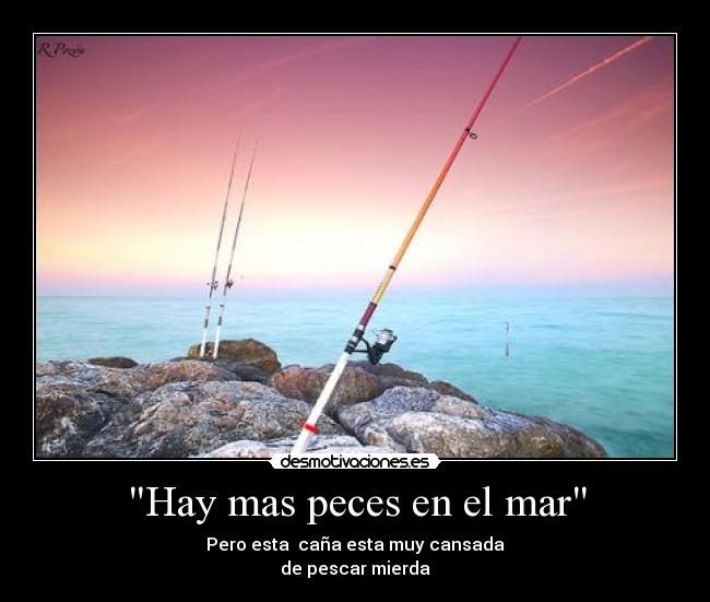 Hay mas peces en el mar - Pero esta  caña esta muy cansada
de pescar mierda