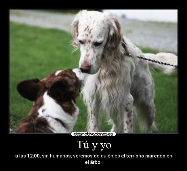 Tú y yo - 