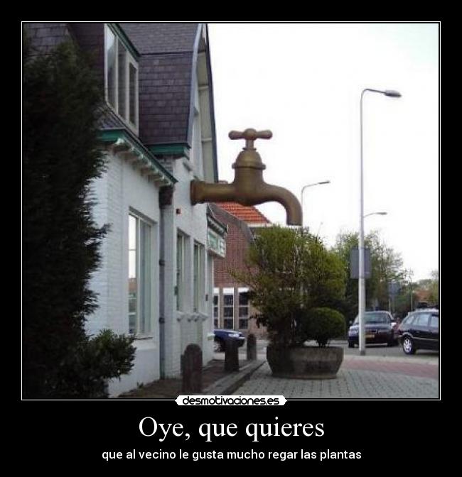 Oye, que quieres - que al vecino le gusta mucho regar las plantas