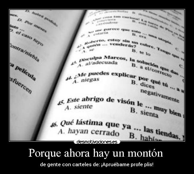 Porque ahora hay un montón  - 