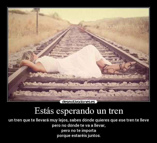 carteles walt_b desmotivaciones