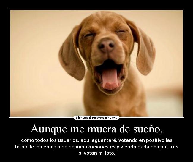 Aunque me muera de sueño, - 