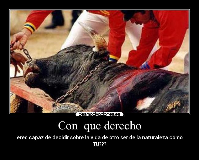 Con que derecho - eres capaz de decidir sobre la vida de otro ser de la naturaleza como TU???