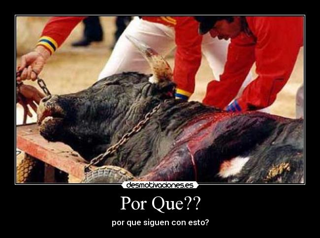 Por Que?? - 