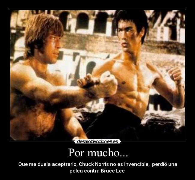 Por mucho... - Que me duela aceptrarlo, Chuck Norris no es invencible, perdió una
pelea contra Bruce Lee