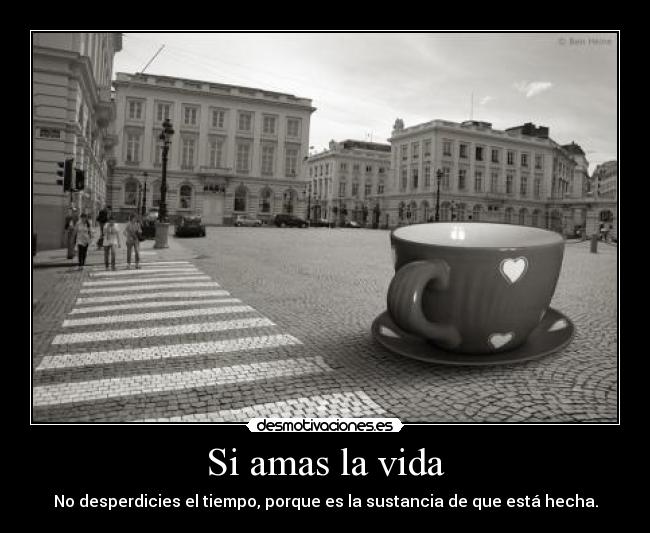 Si amas la vida -