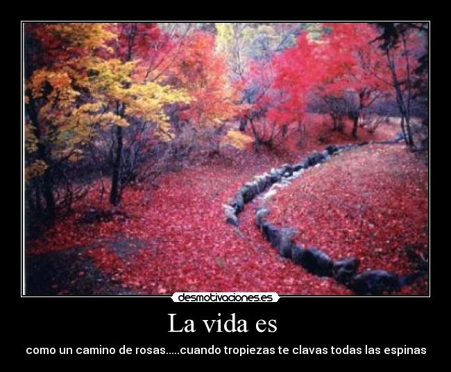 La vida es  - como un camino de rosas.....cuando tropiezas te clavas todas las espinas