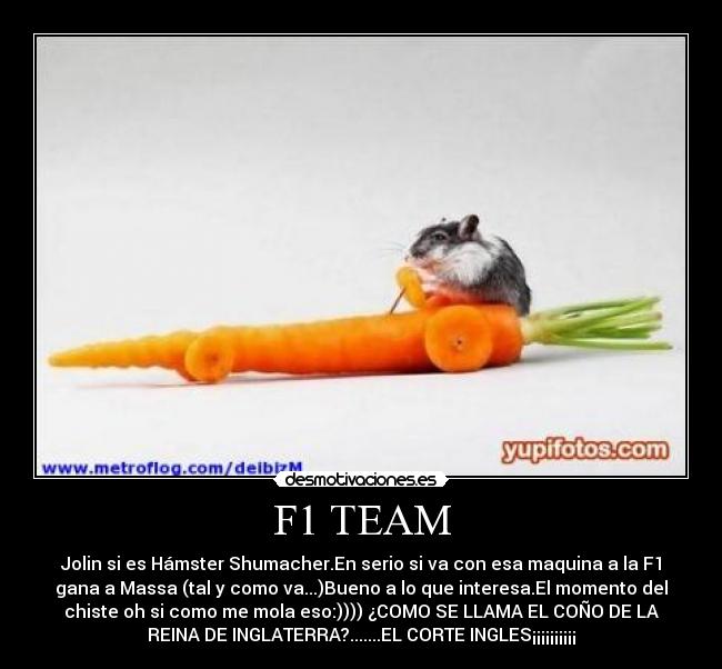 carteles bichicrack desmotivaciones