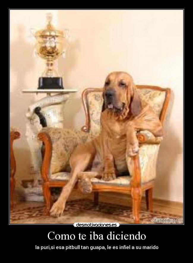 Como te iba diciendo - 