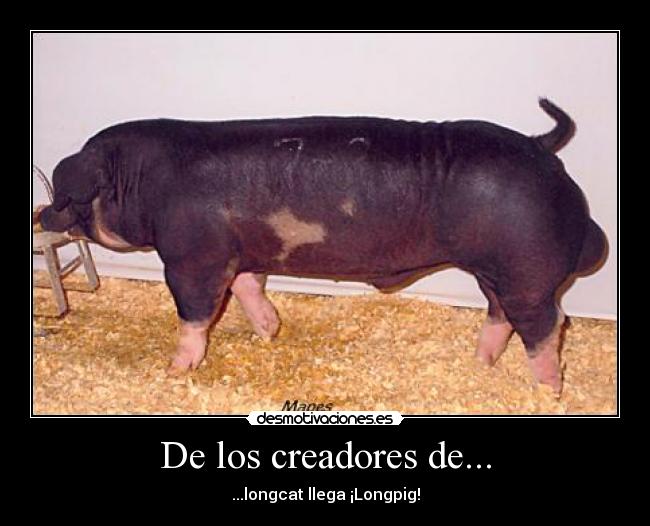 De los creadores de... - 