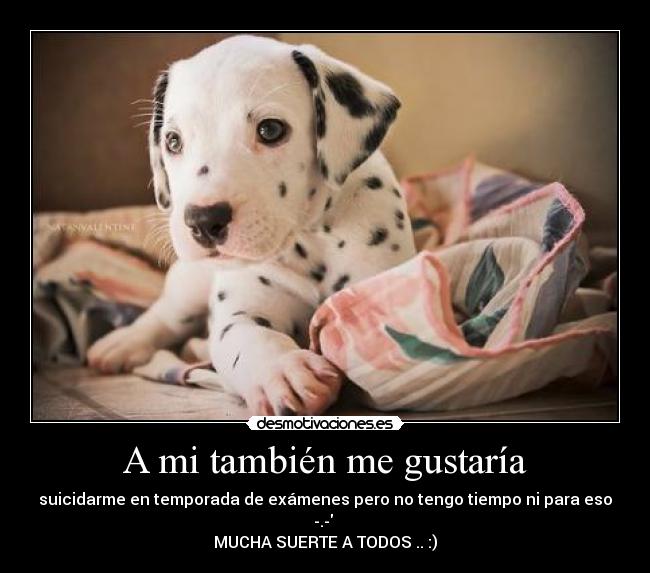 A mi también me gustaría -