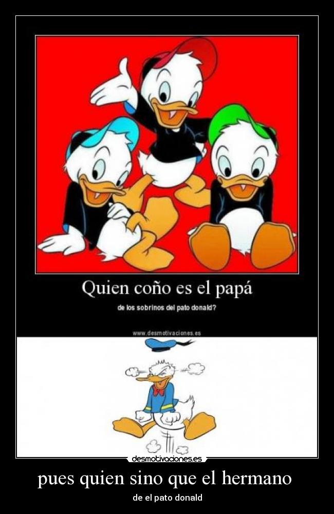 pues quien sino que el hermano  - de el pato donald