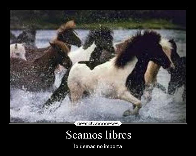 Seamos libres -