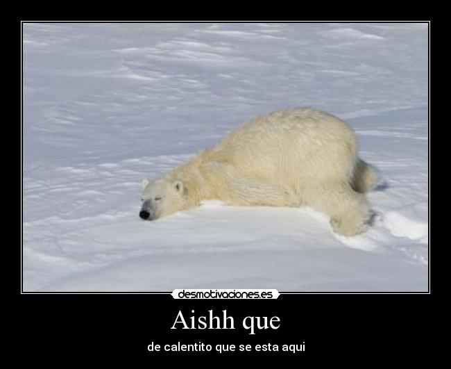 Aishh que -