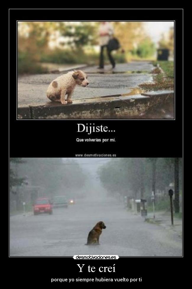 Y te creí -