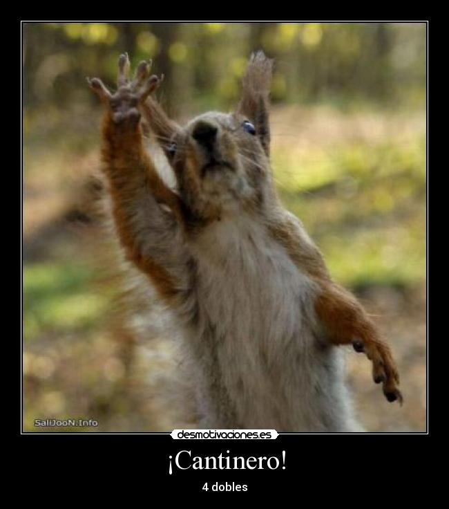 ¡Cantinero! - 