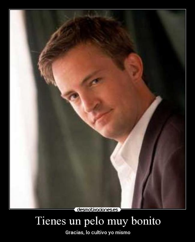 carteles pelo bonito cultivo chandler bing friends desmotivaciones