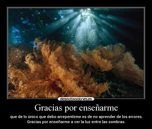 Gracias por enseñarme - que de lo único que debo arrepentirme es de no aprender de los errores.
Gracias por enseñarme a ver la luz entre las sombras.