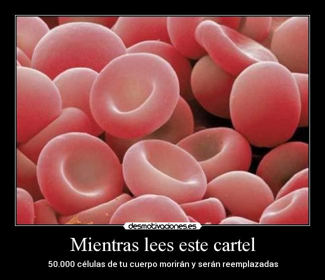 Mientras lees este cartel - 50.000 células de tu cuerpo morirán y serán reemplazadas