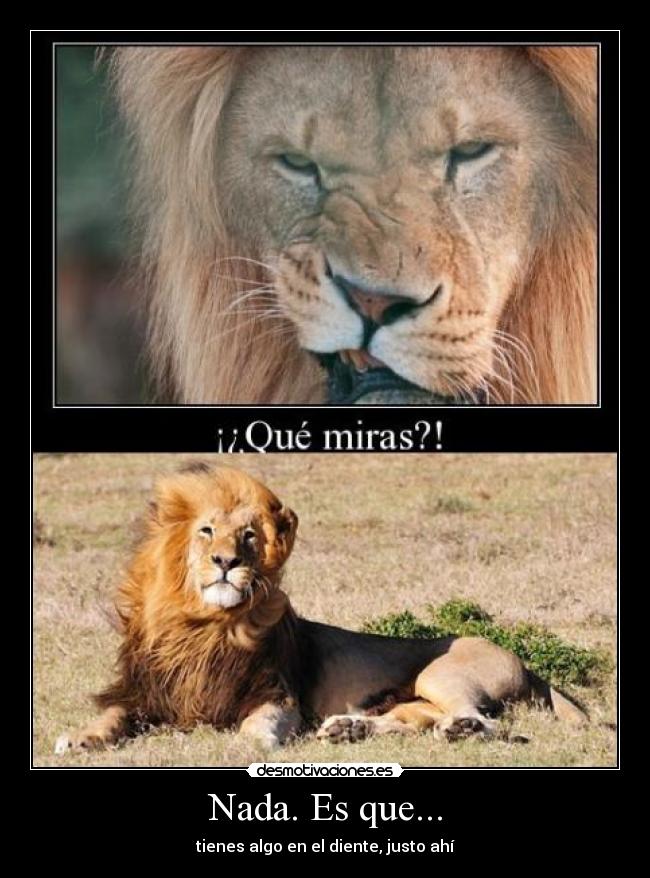 Nada. Es que... - tienes algo en el diente, justo ahí