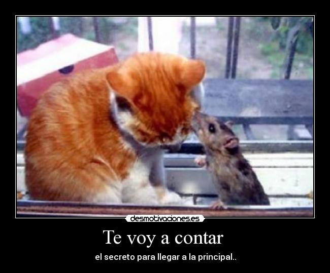 Te voy a contar  - el secreto para llegar a la principal..