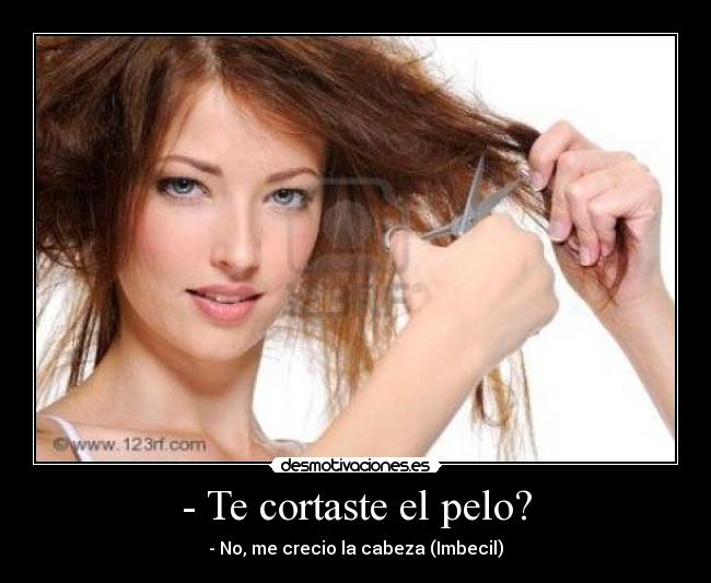 - Te cortaste el pelo? - - No, me crecio la cabeza (Imbecil)