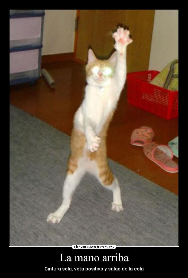La mano arriba - 