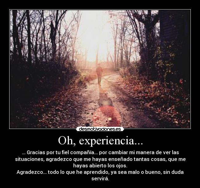 Oh, experiencia... - 