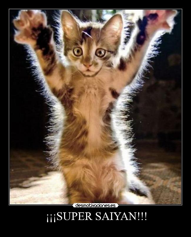 ¡¡¡SUPER SAIYAN!!! -
