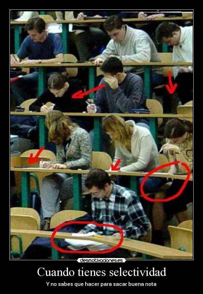 Cuando tienes selectividad - 