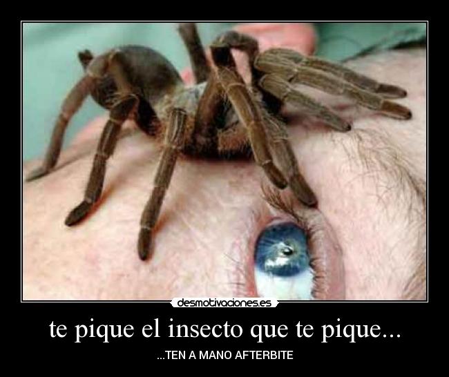 te pique el insecto que te pique... - 