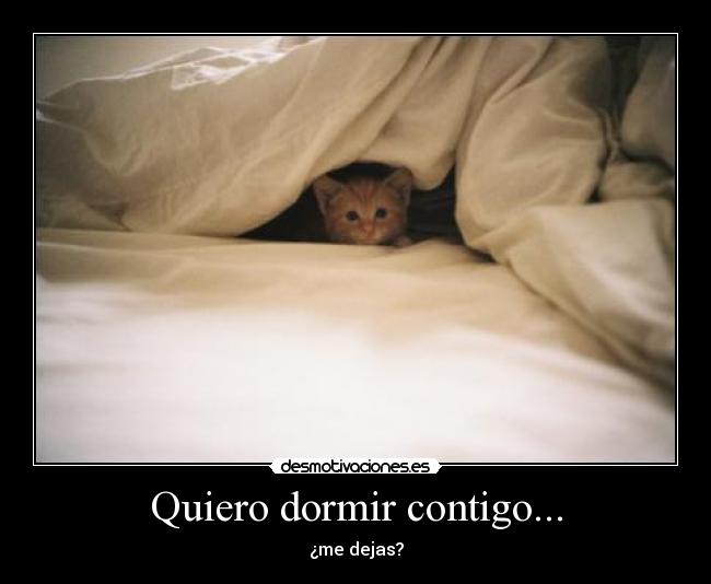 Quiero dormir contigo... - ¿me dejas?
