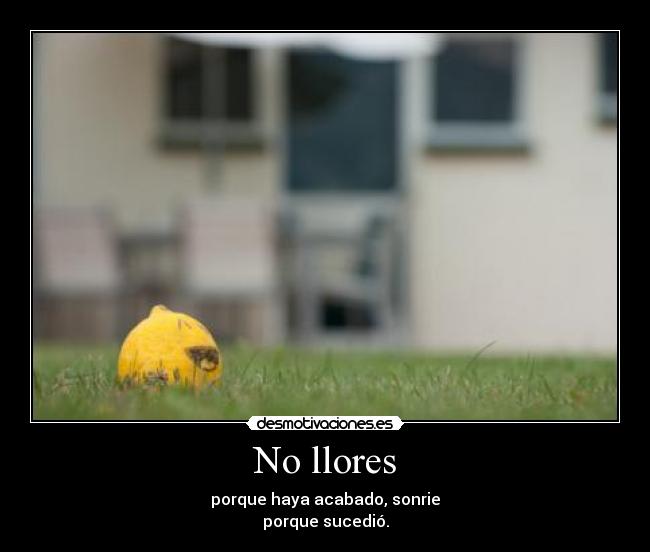 No llores - 