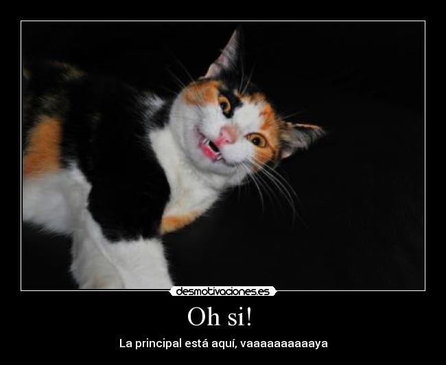 Oh si! - La principal está aquí, vaaaaaaaaaaya