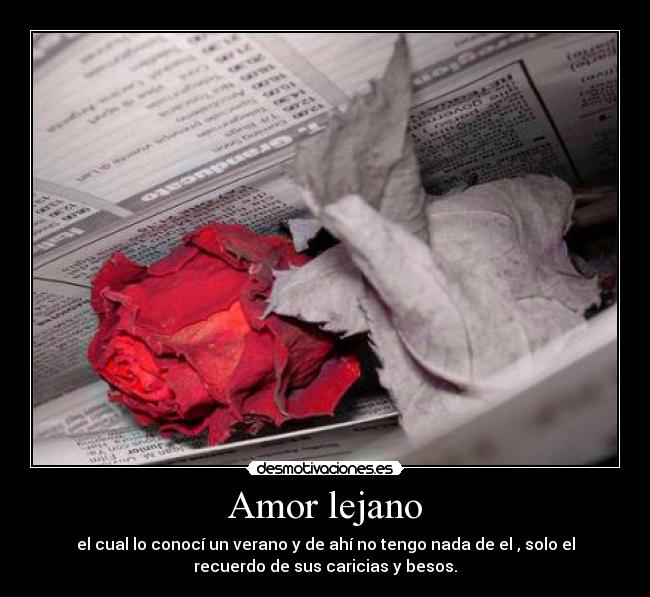 carteles amor efd desmotivaciones