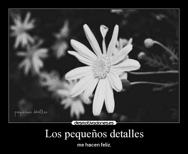 Los pequeños detalles - me hacen feliz.