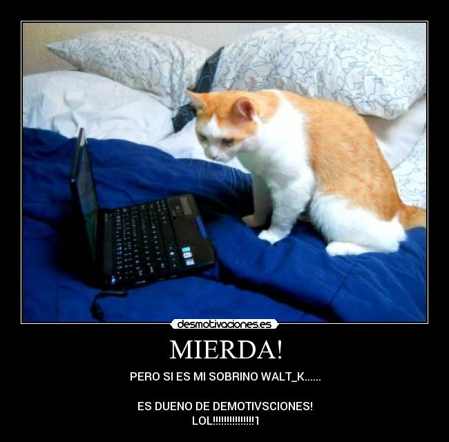 MIERDA! - PERO SI ES MI SOBRINO WALT_K......
ES DUENO DE DEMOTIVSCIONES!
LOL!!!!!!!!!!!!!!!1