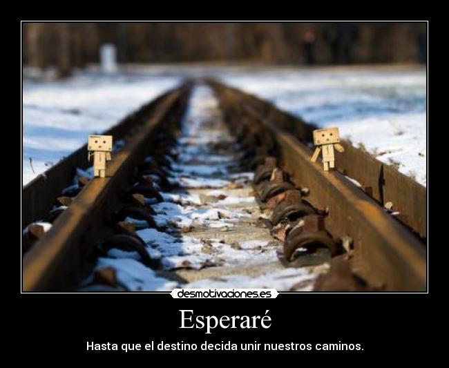 Esperaré - Hasta que el destino decida unir nuestros caminos.