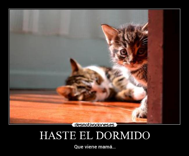 HASTE EL DORMIDO -