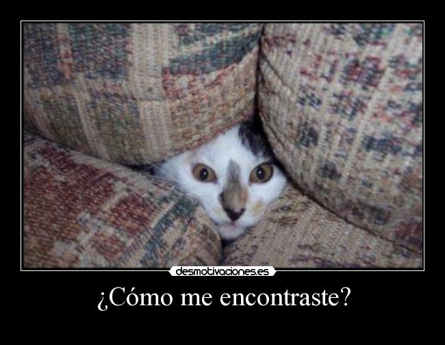 ¿Cómo me encontraste? - 