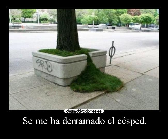 Se me ha derramado el césped. -