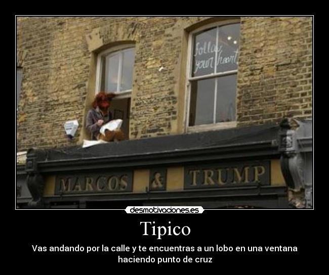 Tipico -