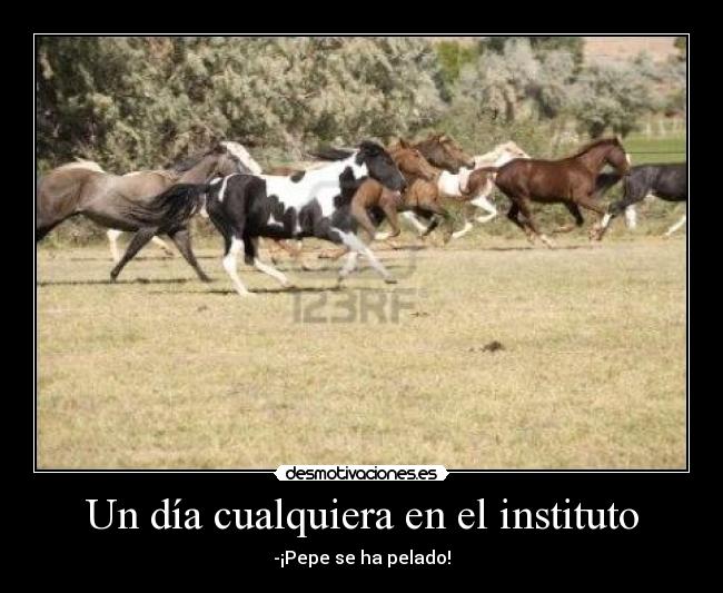 Un día cualquiera en el instituto - 